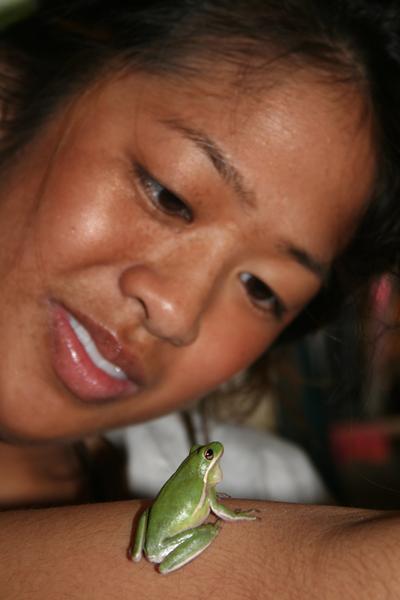 Angela Cao '11 plays with her tree frog Rico T-Pain Suave. - Michelle Fournier