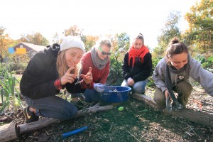 Ellie Honan ’14, Chrissy Swartz ’14, Julia Daniels ’14, and Jill Wielgos ’16 show off their green thumbs at a local farm during their AltBreak. Photo contributed.