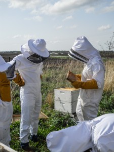The beekeepers examine their honeycombs. Photo contributed.