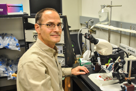 Prof. Mark Levandoski is researching protein groups located in the central nervous system. Photo by Parker Van Nostrand.