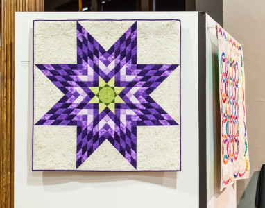 Martin’s quilts promise to please visitors of all generations with her use of color, innovative techniques and intricate detail. Photo by Jun Taek Lee.