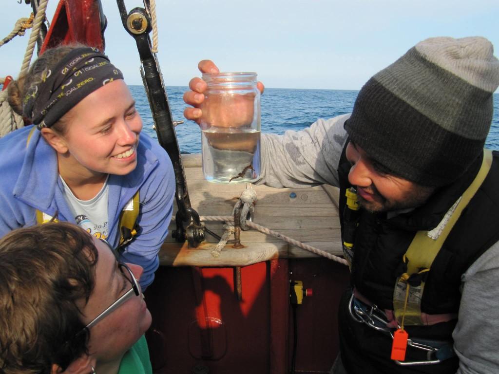 Caroline Graham ’16 examines a seahorse that was collected on her voyage in the Atlantic Ocean. Photo contributed.