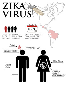 ZIKA Virus Graphic
