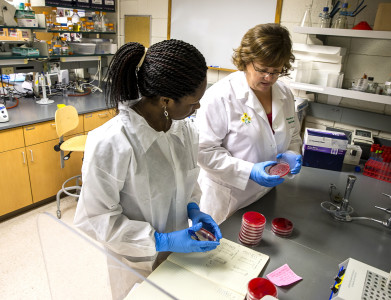 Professor Shannon Hinsa- Leasure works with a student in her lab. 