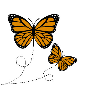 Monarch Butterfly Graphic